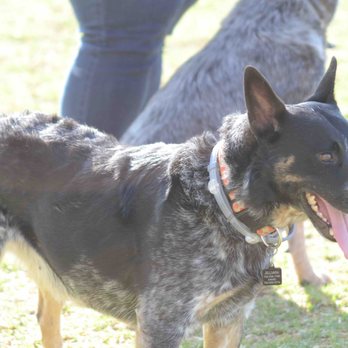 Rancho Simi Recreation & Park District - Dog Parks Near Me - Simi Valley, California