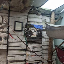 Visitor center exhibit for rock climbing - popular activity here!