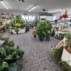 Flowers by Sleeman - Houseplants