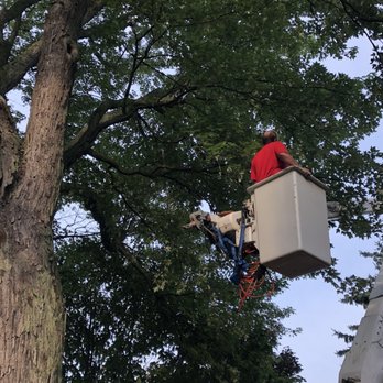 S & L Tree And Stump - Tree Services Near Me - Watertown, New York S & L Tree And Stump - Tree Services Near Me - Watertown, New York