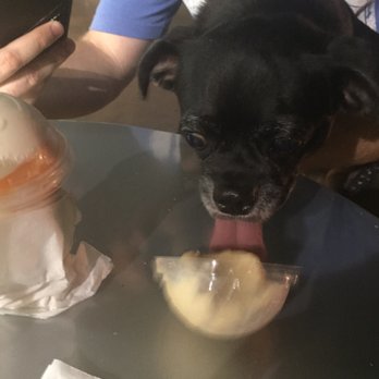 Jeremiah's Italian Ice - Doug loves his peanut butter pup cup! - Ice Cream & Frozen Yogurt Near Me - Maitland, Florida