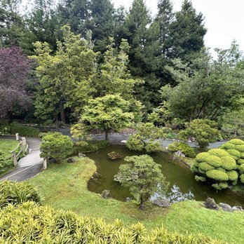 Japanese Tea Garden - Tea Rooms Near Me - San Francisco, California