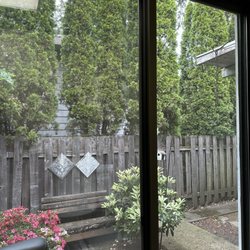 Harris Tran, DDS - Tilikum Dental - Picturesque views from treatment rooms