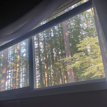Roaring River Bed & Breakfast - Waking up in the trees - Bed & Breakfast Near Me - North Bend, Washington