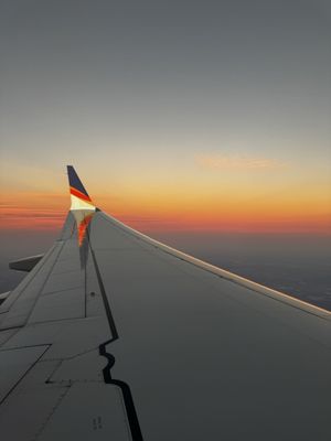 Cattle Ranch by null