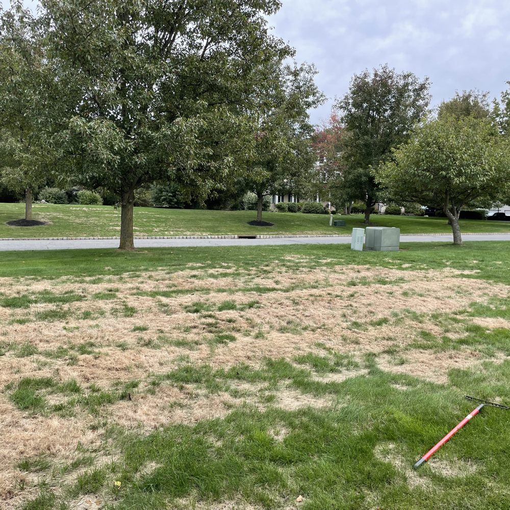 TruGreen Lawn Care - Worst in the neighborhood - Pest Control Near Me - Upper Saddle River, New Jersey TruGreen Lawn Care - Worst in the neighborhood - Pest Control Near Me - Upper Saddle River, New Jersey