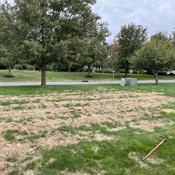 TruGreen Lawn Care - Worst in the neighborhood - Pest Control Near Me - Upper Saddle River, New Jersey TruGreen Lawn Care - Worst in the neighborhood - Pest Control Near Me - Upper Saddle River, New Jersey