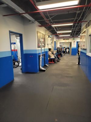 City Ice Pavilion by null