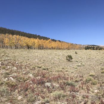 American Safari Ranch - Hotels Near Me - Fairplay, Colorado