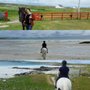 Photo of The Point Pony Trekking & Horse Riding