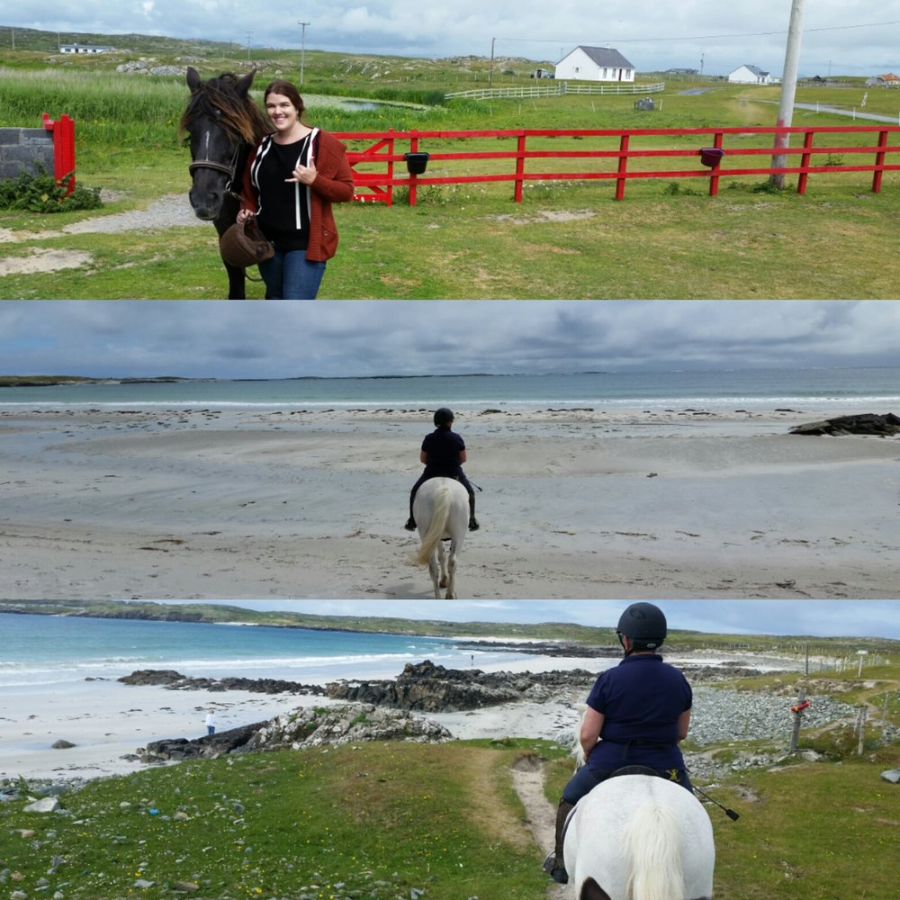 THE POINT PONY TREKKING & HORSE RIDING Updated April 2024