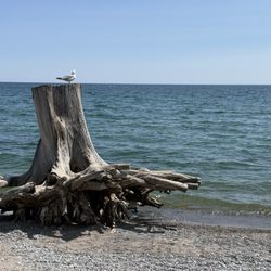 Frenchman's Bay Marina