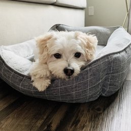 Innocent face Innocent face