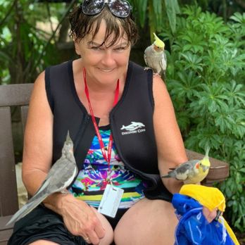 Discovery Cove - Amusement Parks Near Me - Orlando, Florida