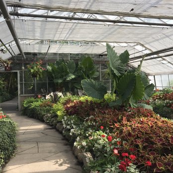 Centennial Park Conservatory - Parks Near Me - Toronto, Ontario