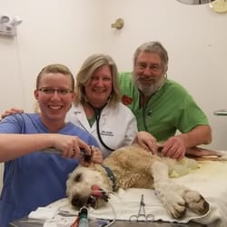 Wetaskiwin Animal Clinic - Pet Healthcare team providing quality care for all your pets