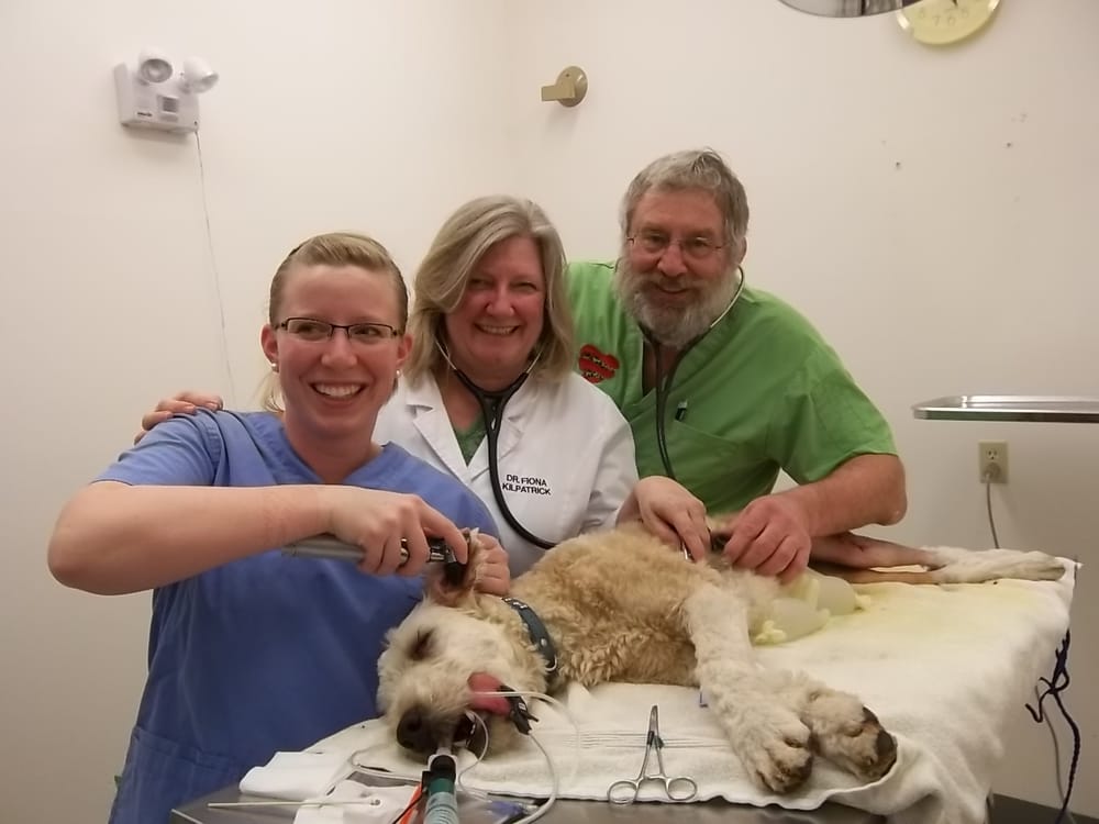 WETASKIWIN ANIMAL CLINIC Updated September 2024 14 Photos 4735