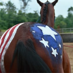 Camp Lohikan - Horses prepared for the 4th of July parade.