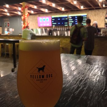 Yellow Dog Brewing - Beer and front counter~ - Breweries Near Me - Port Moody, British Columbia