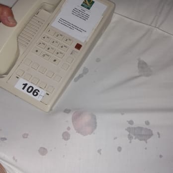 Quality Inn Stateline - That is my hand you see they the sheets - Hotels Near Me - Wendover, Utah Quality Inn Stateline - That is my hand you see they the sheets - Hotels Near Me - Wendover, Utah