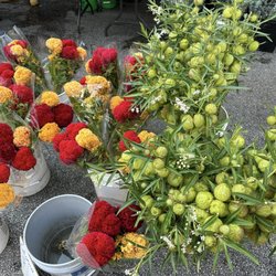 Division Street Farmers Market - Division Street Farmers Market in Chicago, Illinois