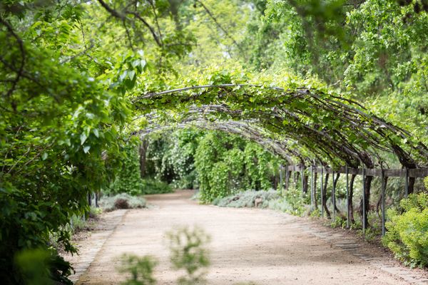Campovida by null