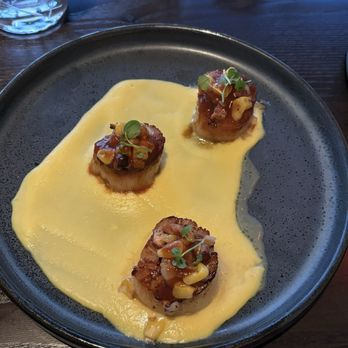 Gordon Ramsay Hell's Kitchen - Scallops - Desserts Near Me - Washington, DC, District of Columbia Gordon Ramsay Hell's Kitchen - Scallops - Desserts Near Me - Washington, DC, District of Columbia
