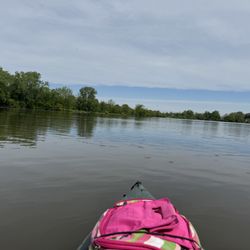 Vehicle City Kayaks