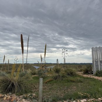 Rune Wines - Wineries Near Me - Sonoita, Arizona Rune Wines - Wineries Near Me - Sonoita, Arizona