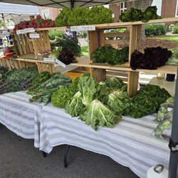 Main Street Saturday Market - Just a bit of the fresh produce