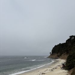 Seal Cove Beach