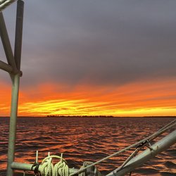 Harbor Bait & Tackle