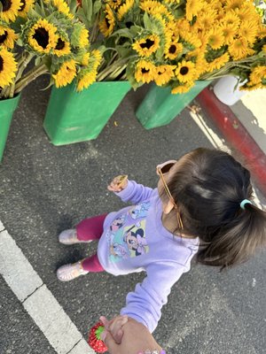Alhambra Farmers Market by null