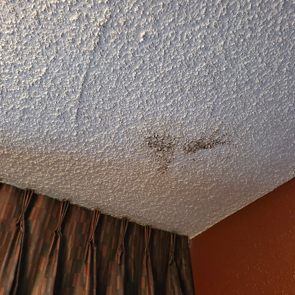 GuestHouse Eugene Springfield - hmmm wonder what that could be... yes "MOLD" - Hotels Near Me - Springfield, Oregon GuestHouse Eugene Springfield - hmmm wonder what that could be... yes "MOLD" - Hotels Near Me - Springfield, Oregon
