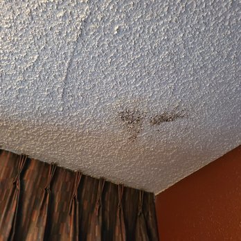 GuestHouse Eugene Springfield - hmmm wonder what that could be...  yes "MOLD" - Hotels Near Me - Springfield, Oregon