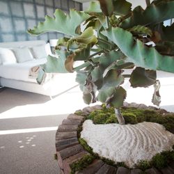 Articulture Designs - Residential plant design and residential plant care services