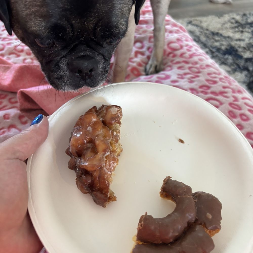 Chocolate old fashioned and apple fritter Chocolate old fashioned and apple fritter