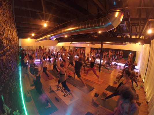 Black Swan Yoga by null