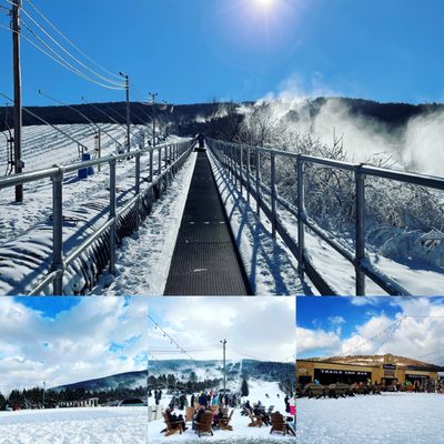 Blue Mountain Resort by null