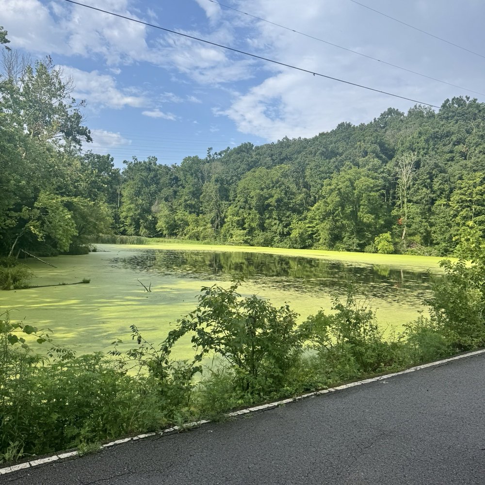 Radnor Lake State Park - Parks Near Me - Nashville, Tennessee Radnor Lake State Park - Parks Near Me - Nashville, Tennessee