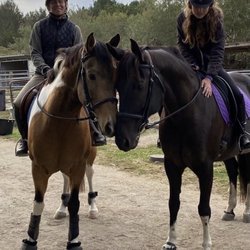 Pacifica Equestrian Center - Pepper and Rio are best buddies!