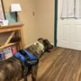 Photo of Kimberly Veterinary Hospital