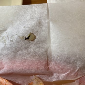 Uncle Al's - Worm/Bug In Shrimp! - American Near Me - Davie, Florida