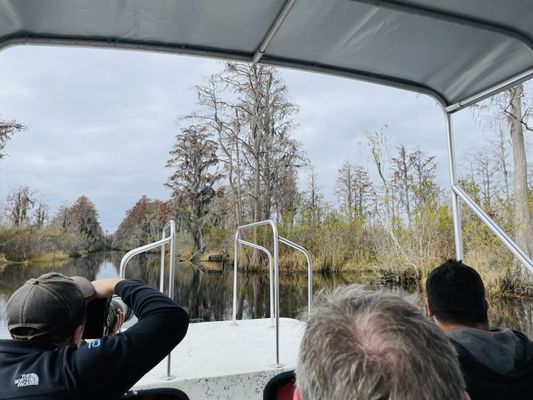 Okefenokee Adventures by null