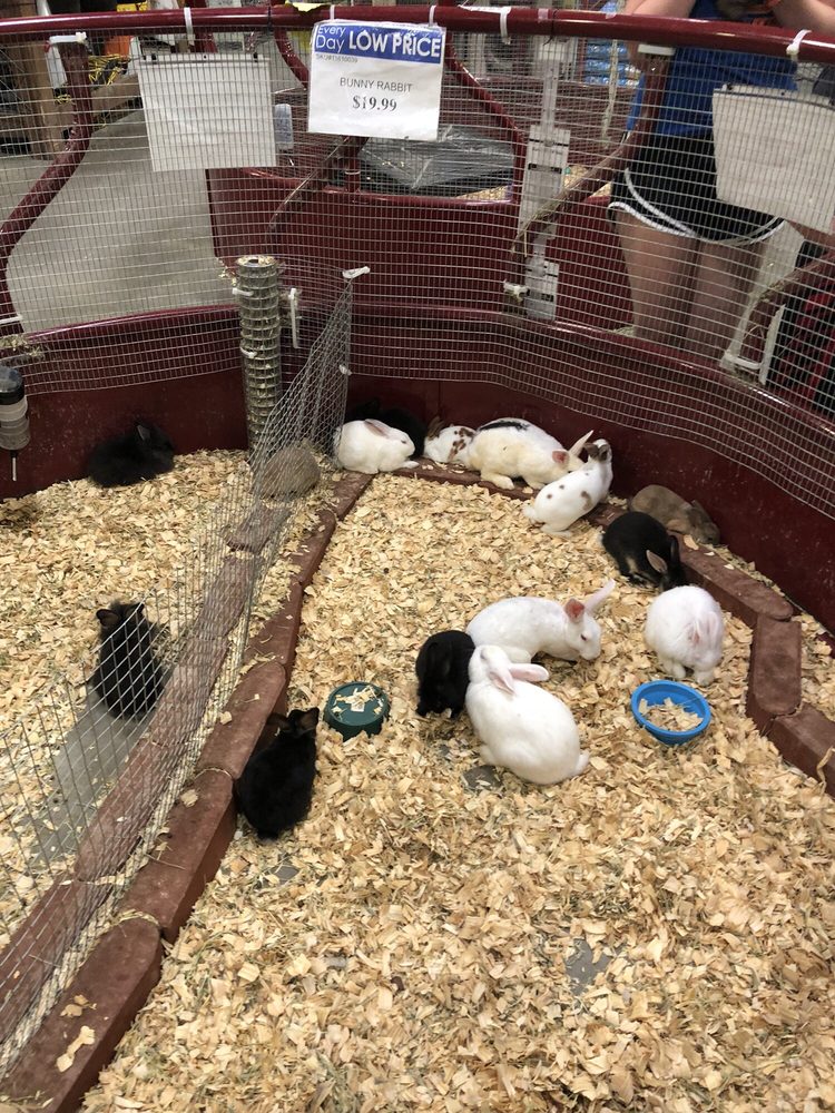 RURAL KING 4711 Cairo Rd, Paducah, Kentucky Farming Equipment