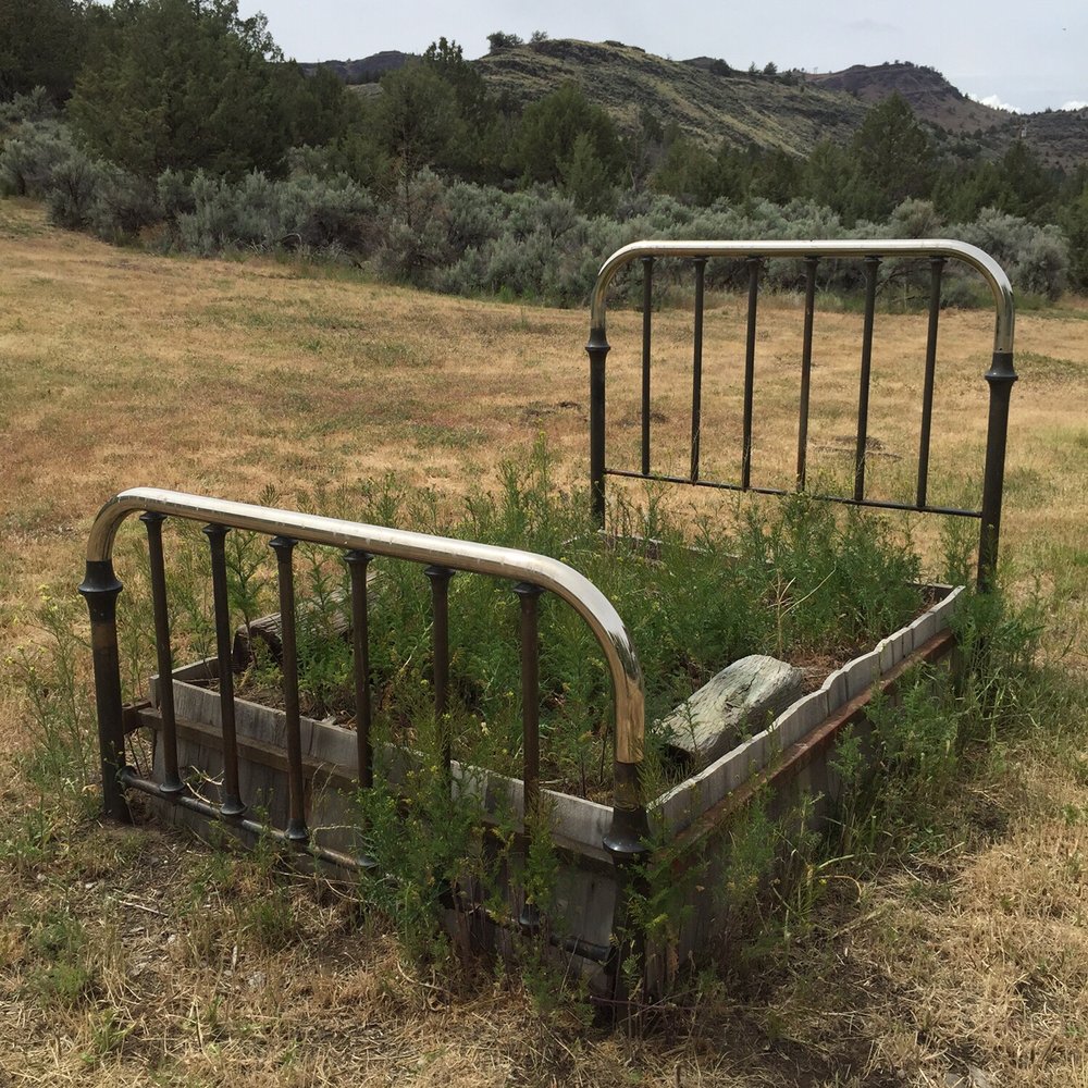 Drovers Inn - Flower bed in Frenchglen, OR outside Drovers Inn. - Hotels Near Me - Frenchglen, Oregon Drovers Inn - Flower bed in Frenchglen, OR outside Drovers Inn. - Hotels Near Me - Frenchglen, Oregon