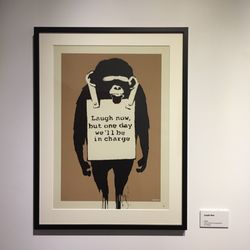 The Art of Banksy - Some of the many framed prints