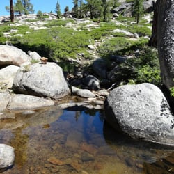 Shealor Lake Trailhead - A little pond slightly off the beaten path at Shealor Lake hike.