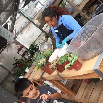 OC Succulents - On demand arranging. - Nurseries & Gardening Near Me - Irvine, California