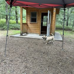 Burlingame State Park Campground - My dog in front of cabin X
